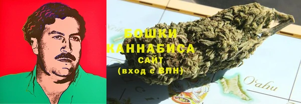 шишки Балахна